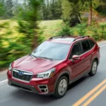 Subaru Forester 2025: Release Date, Specs, and Photos