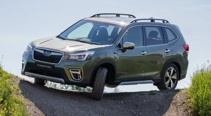  Subaru Forester 2025: Release Date, Specs, and Photos